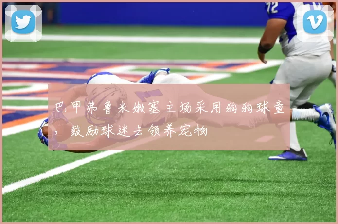 巴甲弗鲁米嫩塞主场采用狗狗球童，鼓励球迷去领养宠物