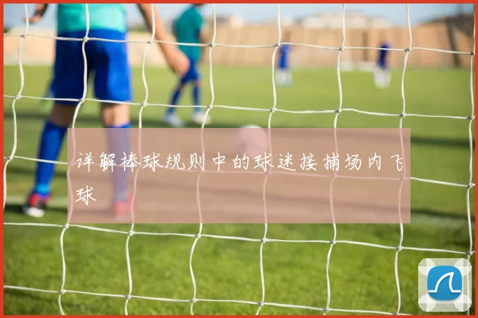 详解棒球规则中的球迷接捕场内飞球