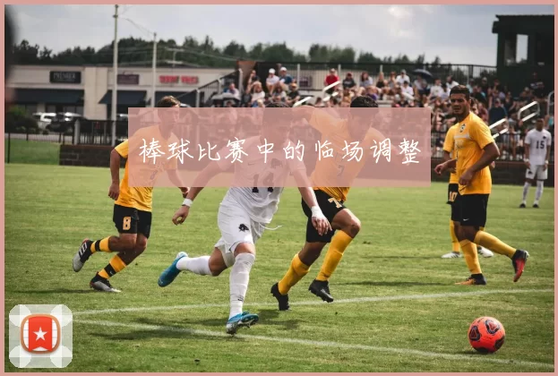 棒球比赛中的临场调整
