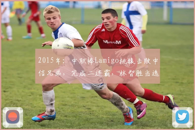 2015年：中职棒Lamigo桃猿击败中信兄弟，完成二连霸，林智胜当选MVP。