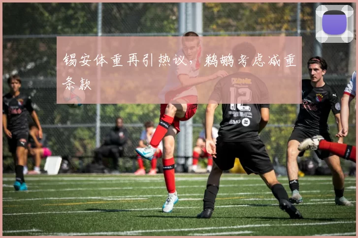 锡安体重再引热议，鹈鹕考虑减重条款