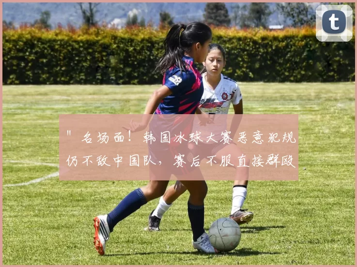 ＂名场面！韩国冰球大赛恶意犯规仍不敌中国队，赛后不服直接群殴
